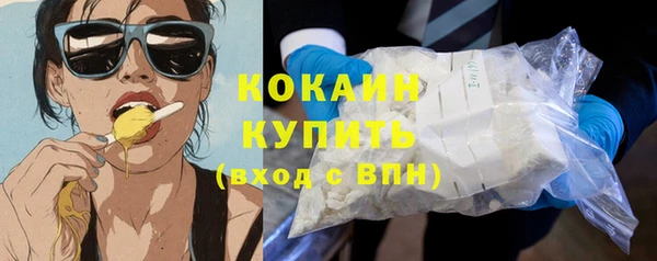 a pvp Гусев