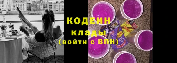 шишки Туринск