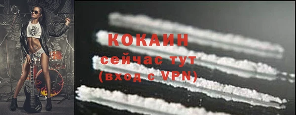 a pvp Гусев
