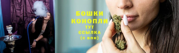 молекула духа Тында